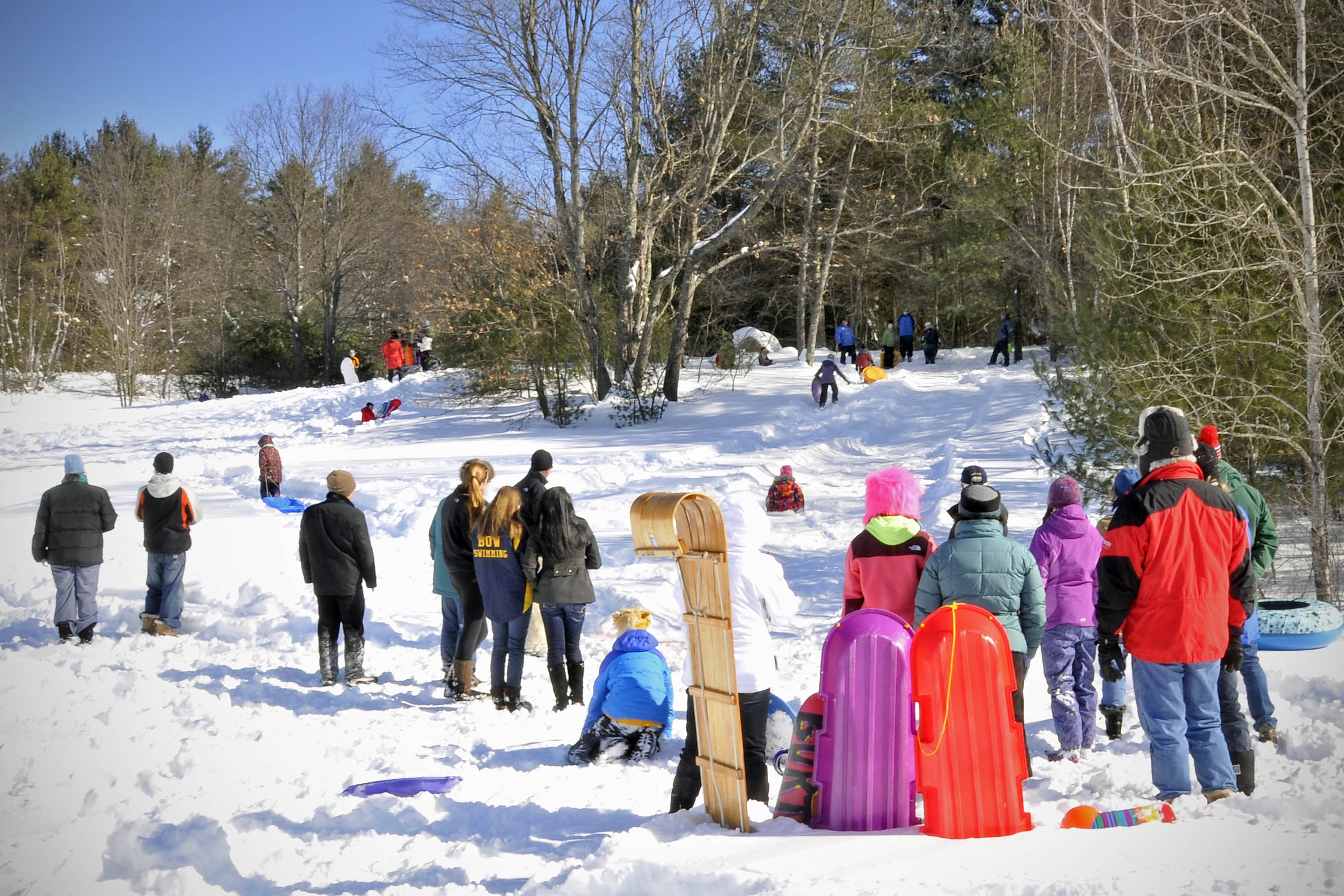 Adults and children with winter coats sledding down a hill